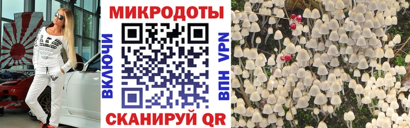 mega как зайти  где купить   Лакинск  Псилоцибиновые грибы GOLDEN TEACHER 